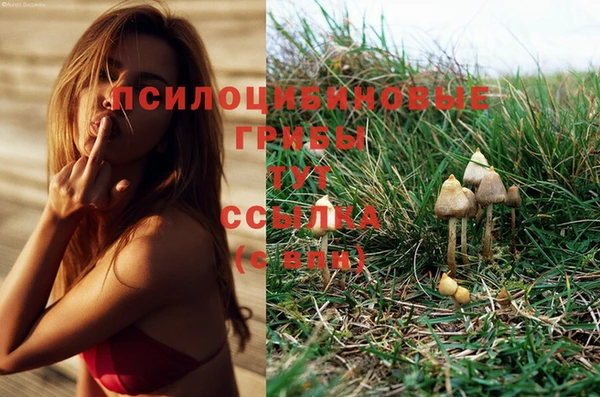 прущая мука Абаза