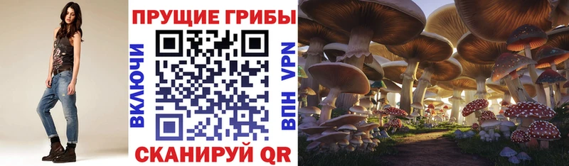 Псилоцибиновые грибы GOLDEN TEACHER  Алатырь 