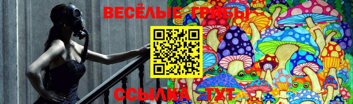 Алатырь  Псилоцибиновые грибы Magic Shrooms  Вход с VPN 