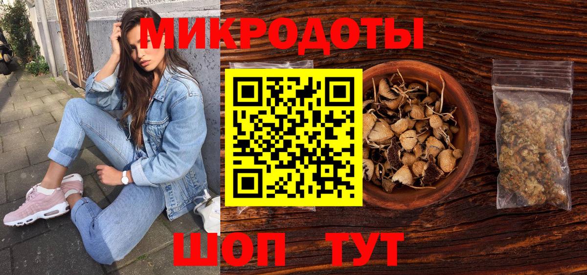 Псилоцибиновые грибы Psilocybe Алатырь